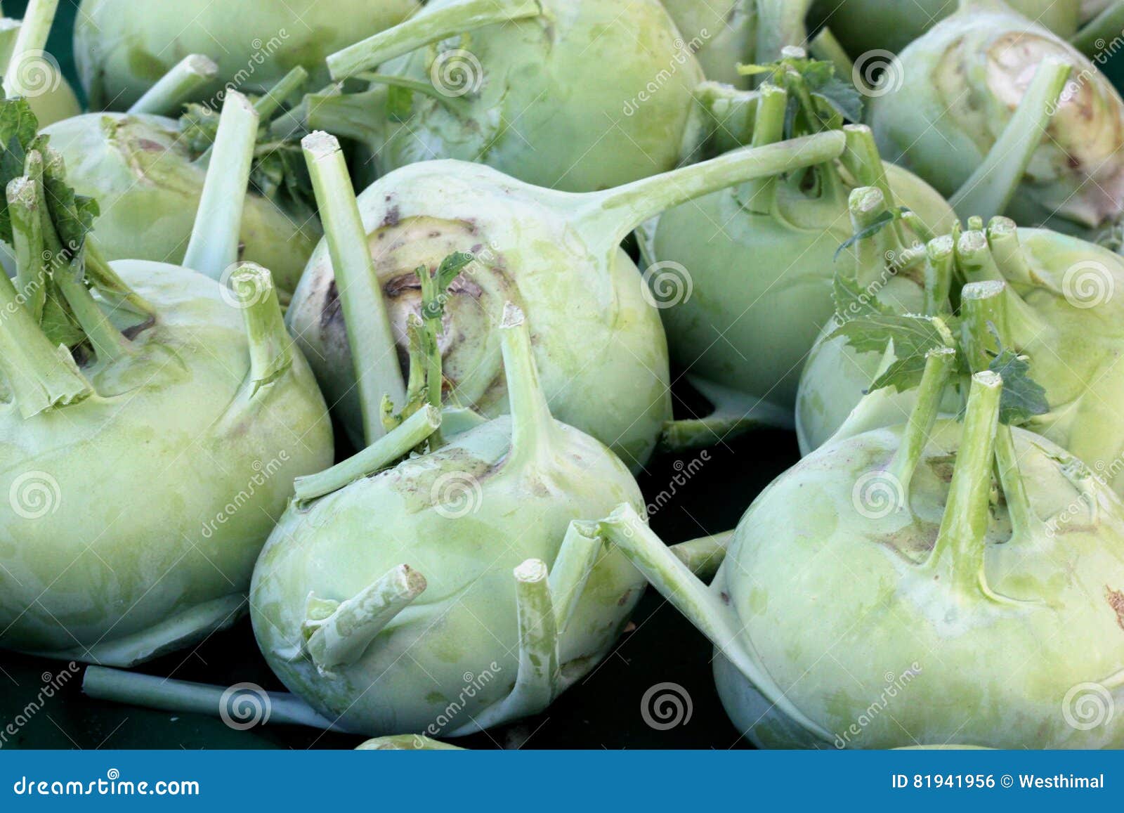 Cavolo Rapa ""Super Fuso"" (Brassica Oleracea Var. Gongilodi - Foto 6