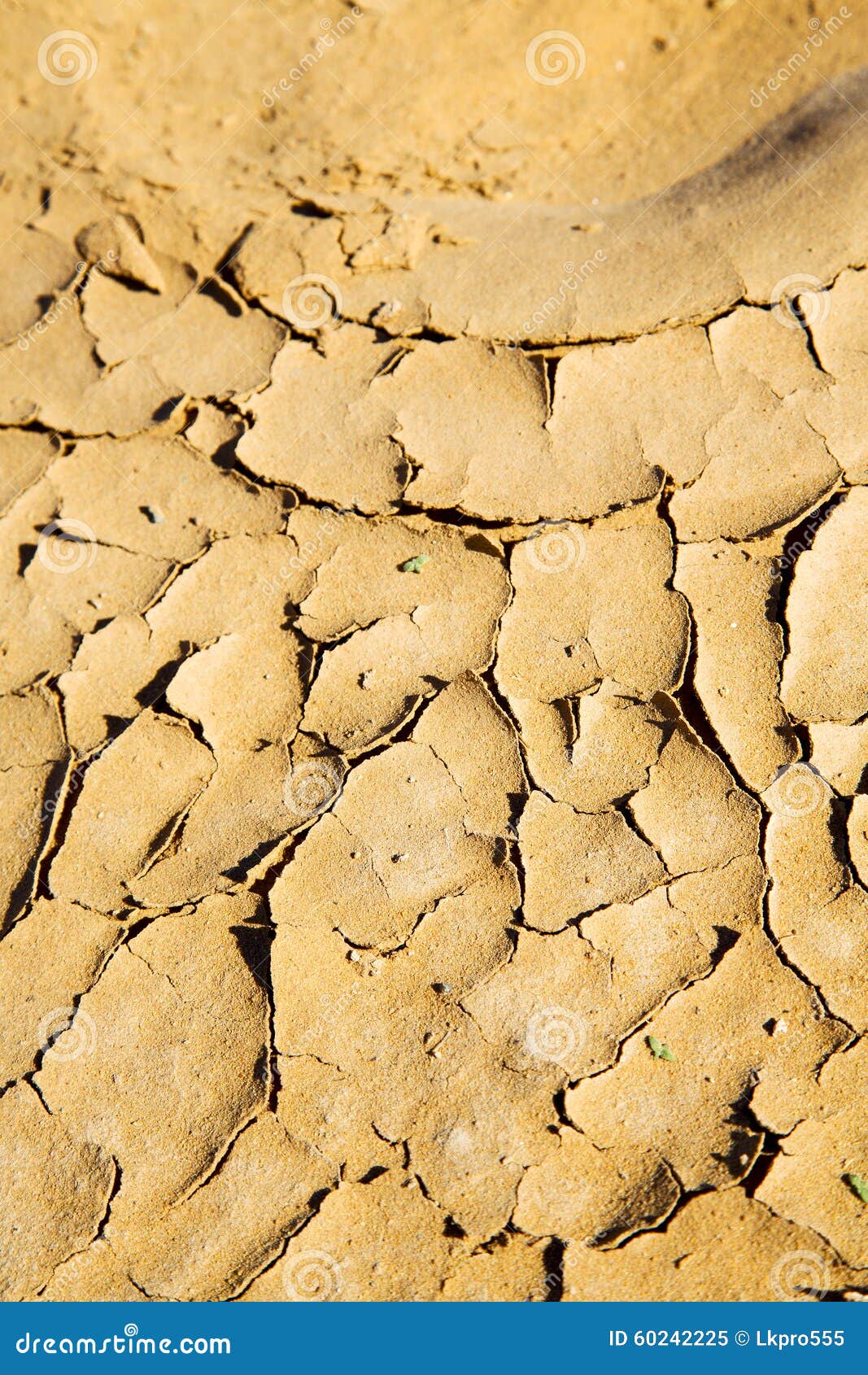Braun Trocken In Sahara Wüstenmarokko Abnutzung Und Zusammenfassung