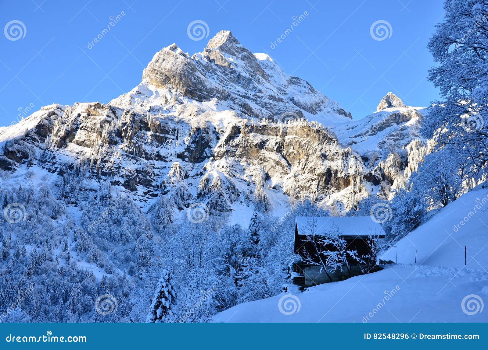 Braunwald In Die Schweiz Schnee Weihnachtsden Bergen Stockfoto Bild Von Wald Berge 5496