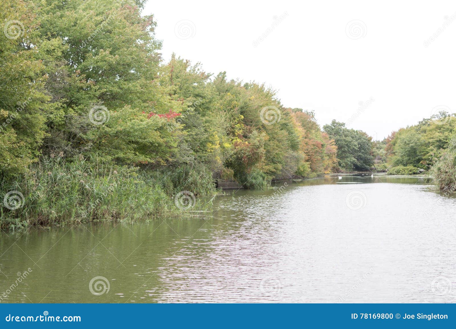 Brayton Ave stock photo. Image of river, brayton, fall 78169800