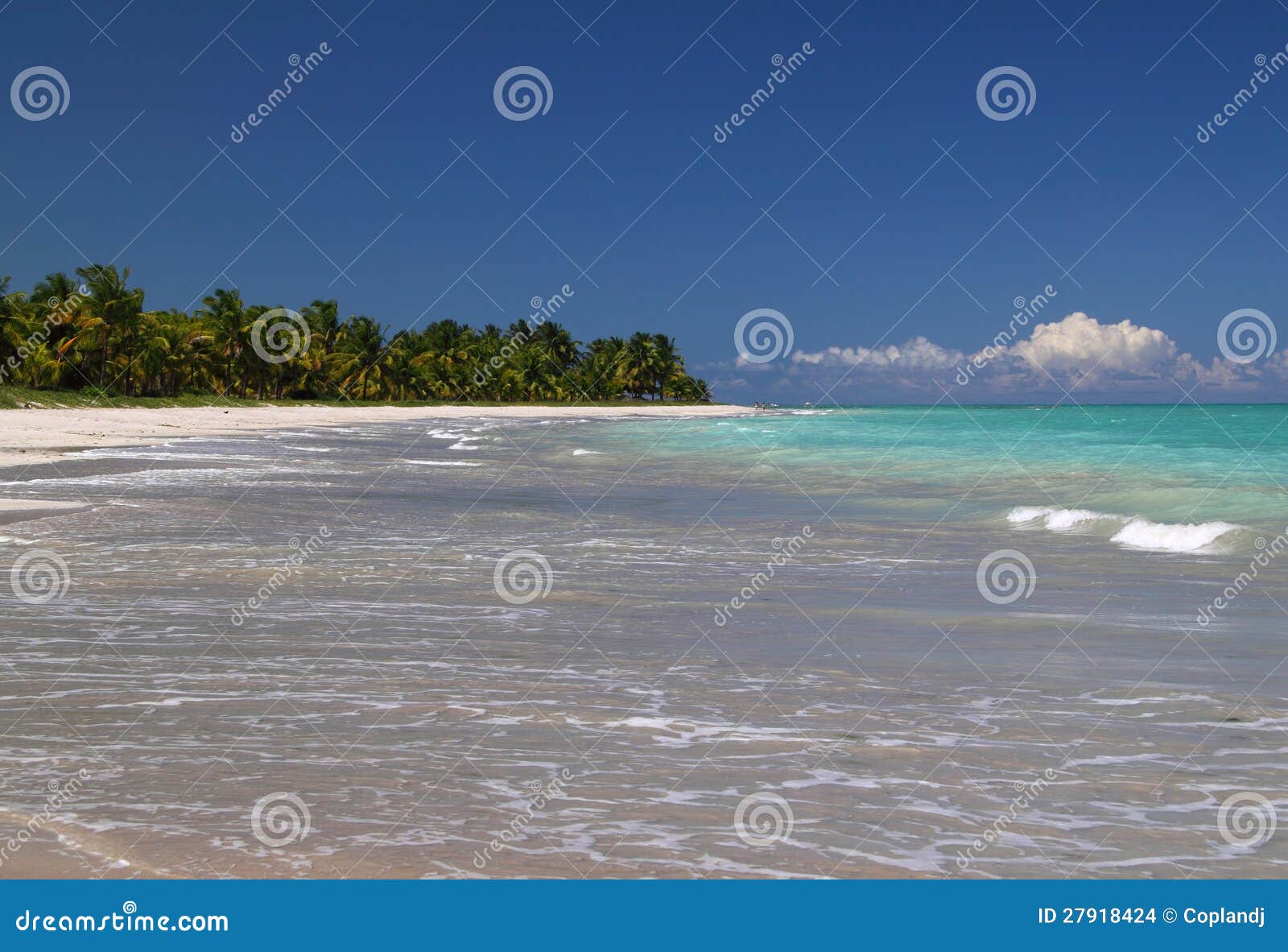 brazil, alagoas, maceio beach