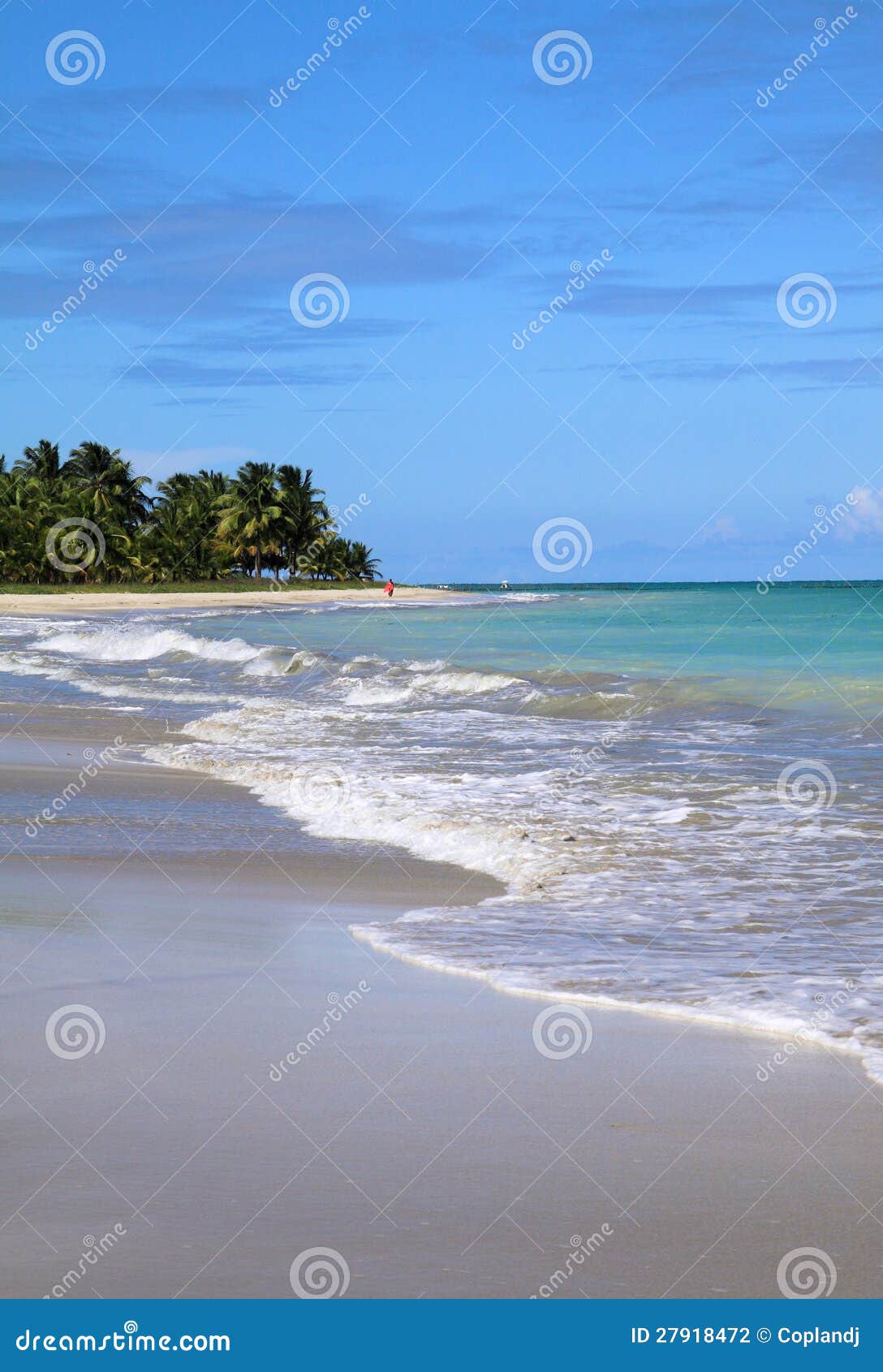 brazil, alagoas, maceio beach
