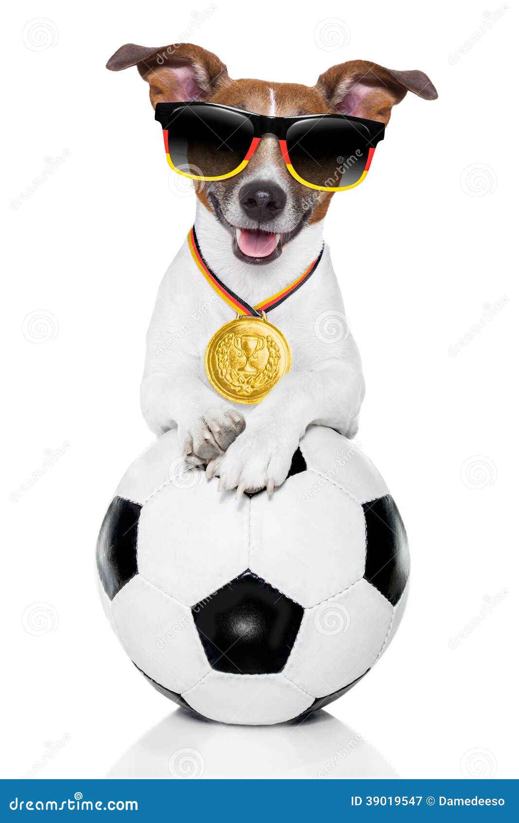 Brazil Fifa World Cup Dog Stock Photo - Image: 39019547