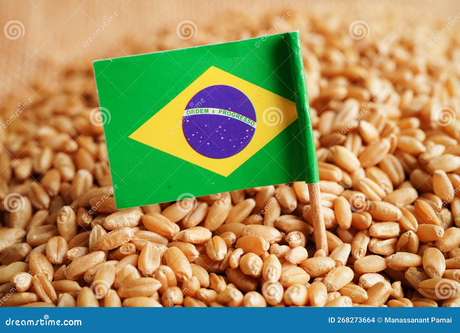 Brazil on Grain Wheat, Trade Export and Economy Concept Stock Photo