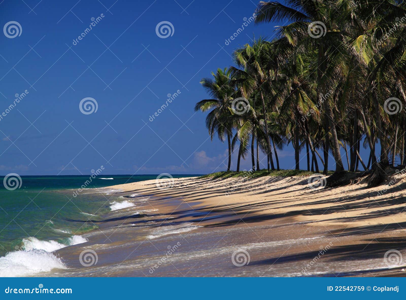 brazil maceio gunga beach in alagoas sta