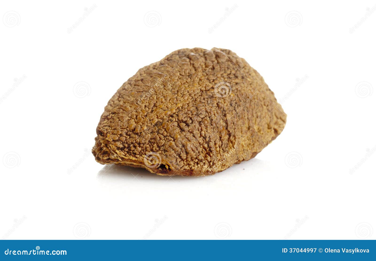 Brazil nut stock image. Image of closeup, kernel, eating 37044997