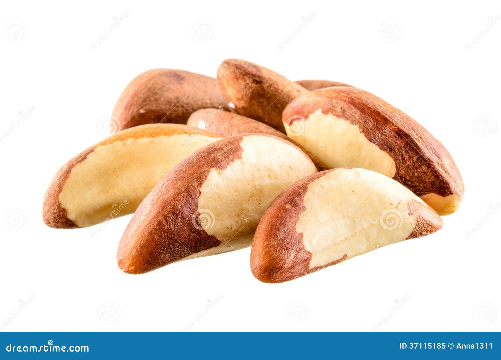 Brazil Nut. Group of Fruits on White Background Stock Image Image of