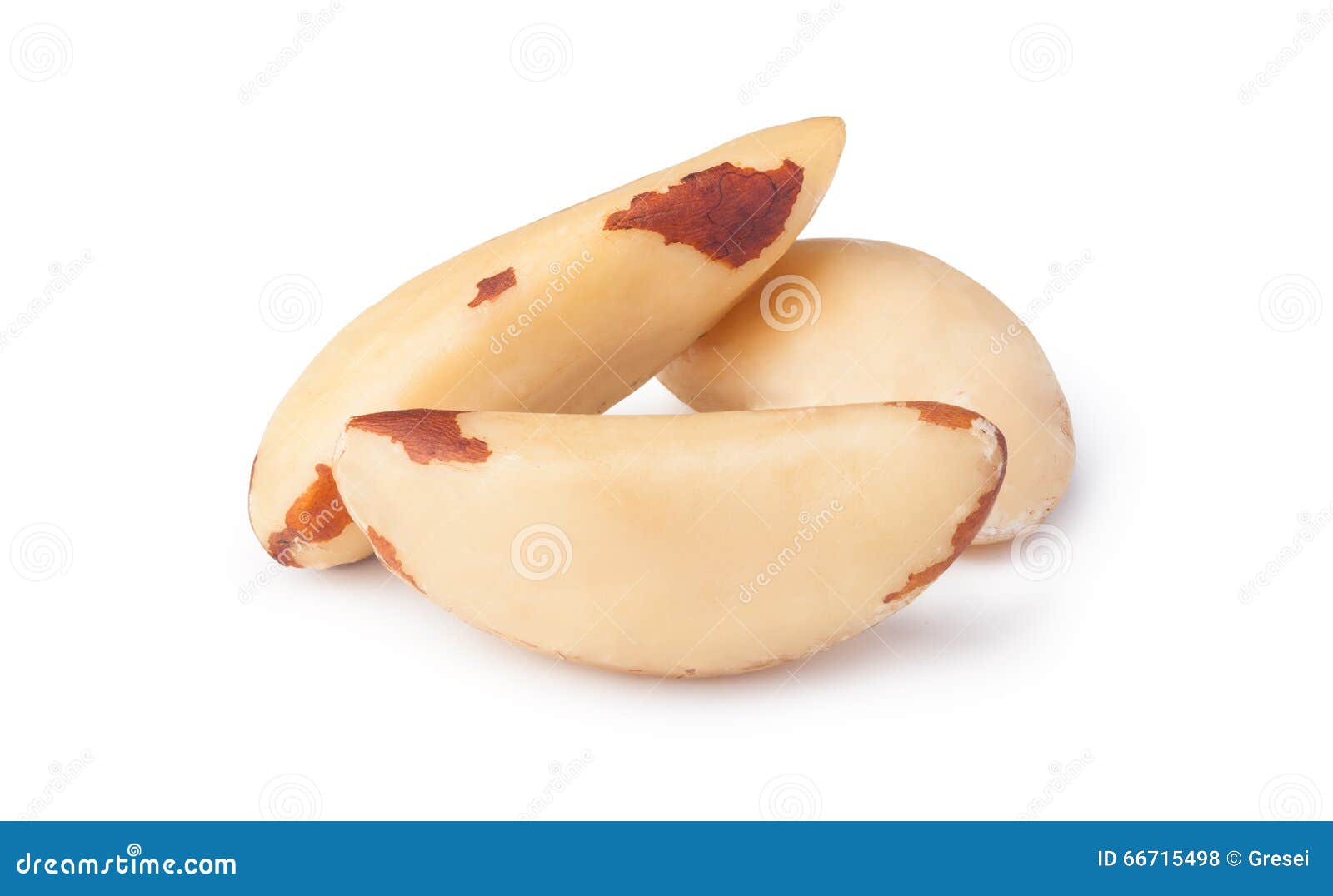 Brazil nut stock photo. Image of brazil, group, selenium 66715498