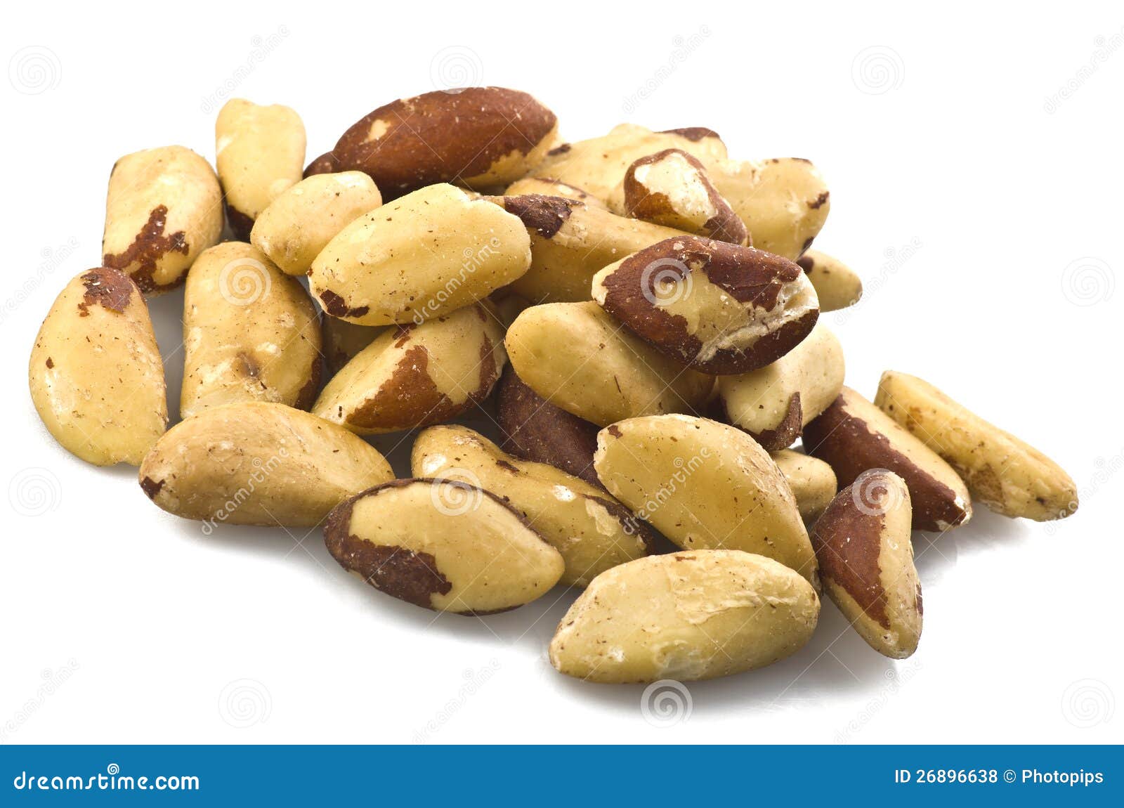 Brazil nuts stock photo. Image of organic, nature, nutty 26896638