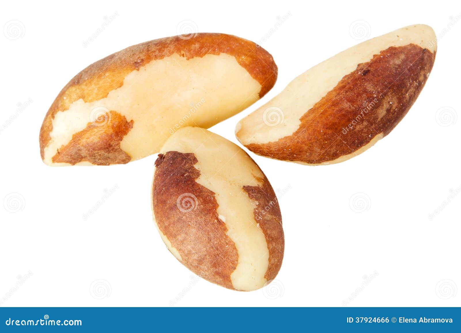 Brazil nuts stock photo. Image of brown, natural, seed 37924666