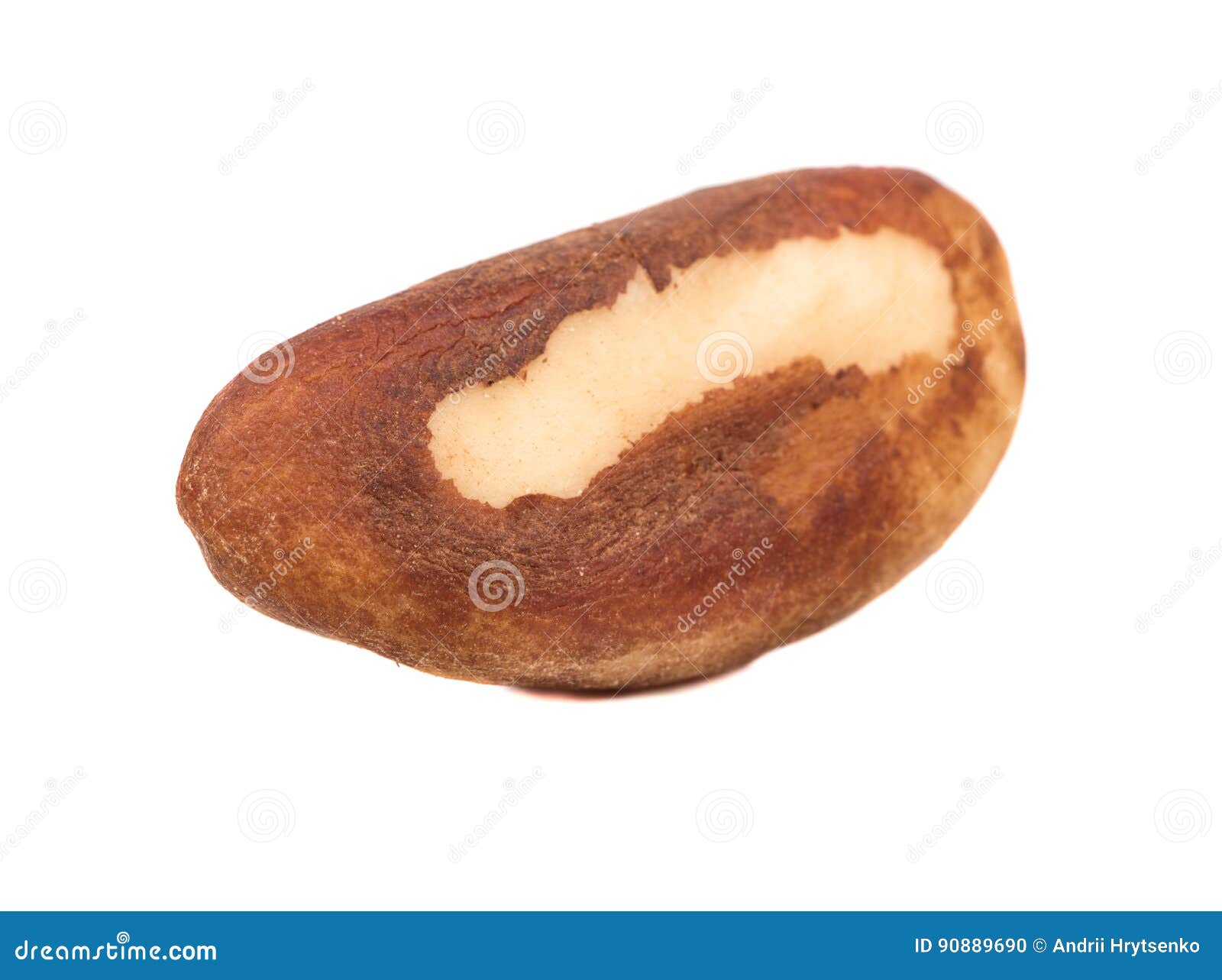 Brazil nuts stock photo. Image of gourmet, eating, organic - 90889690
