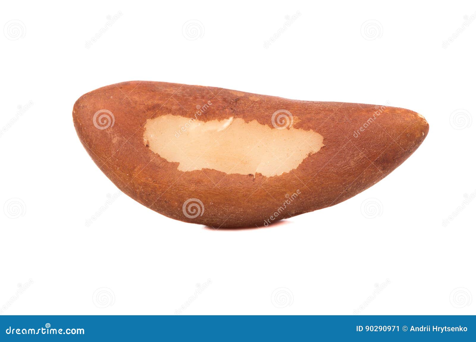 Brazil nuts stock image. Image of brown, ingredient, nuts 90290971