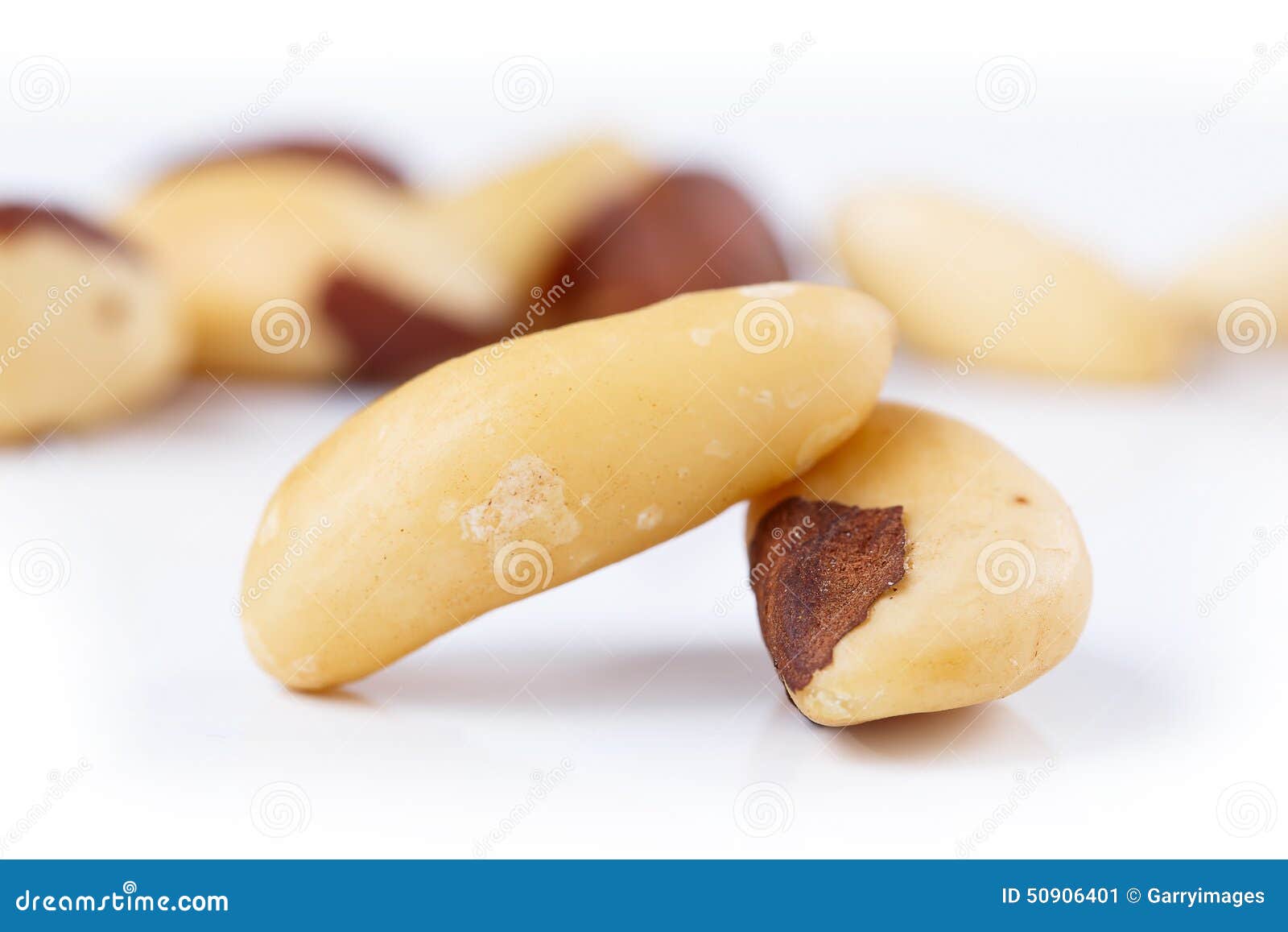 Brazil Nuts Isolated on White Stock Image - Image of horizontal