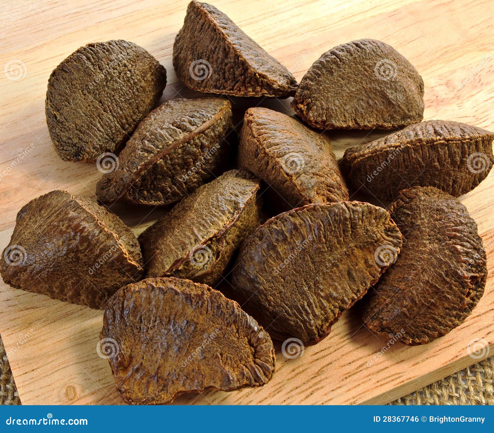 Brazil nuts stock photo. Image of tree, seeds, bertholletia 28367746