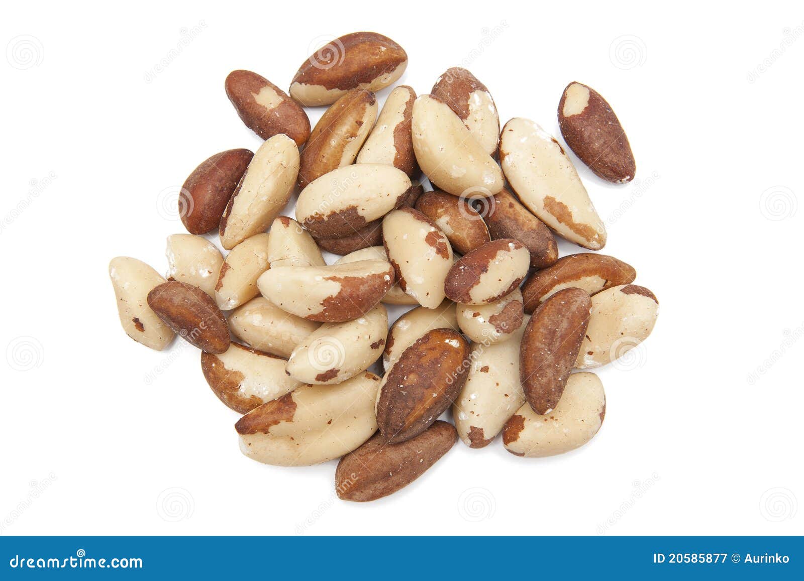 Brazil walnut stock image. Image of group, macro, crunchy 20585877