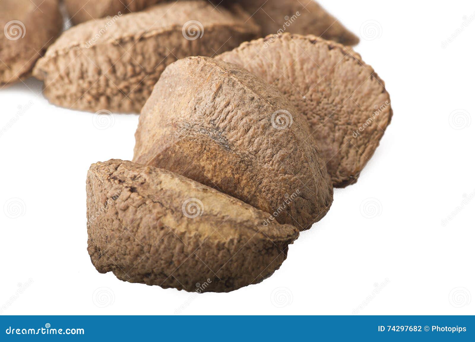Brazil walnut stock photo. Image of brown, macro, brazil 74297682