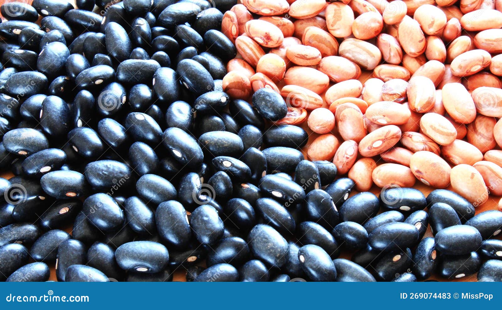 Brazilian Beans. Carioca Beans and Black Beans Stock Image Image of