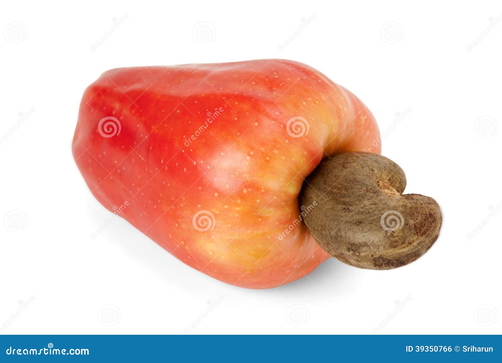 Brazilian Caju Cashew Fruit Stock Photo Image of closeup, market