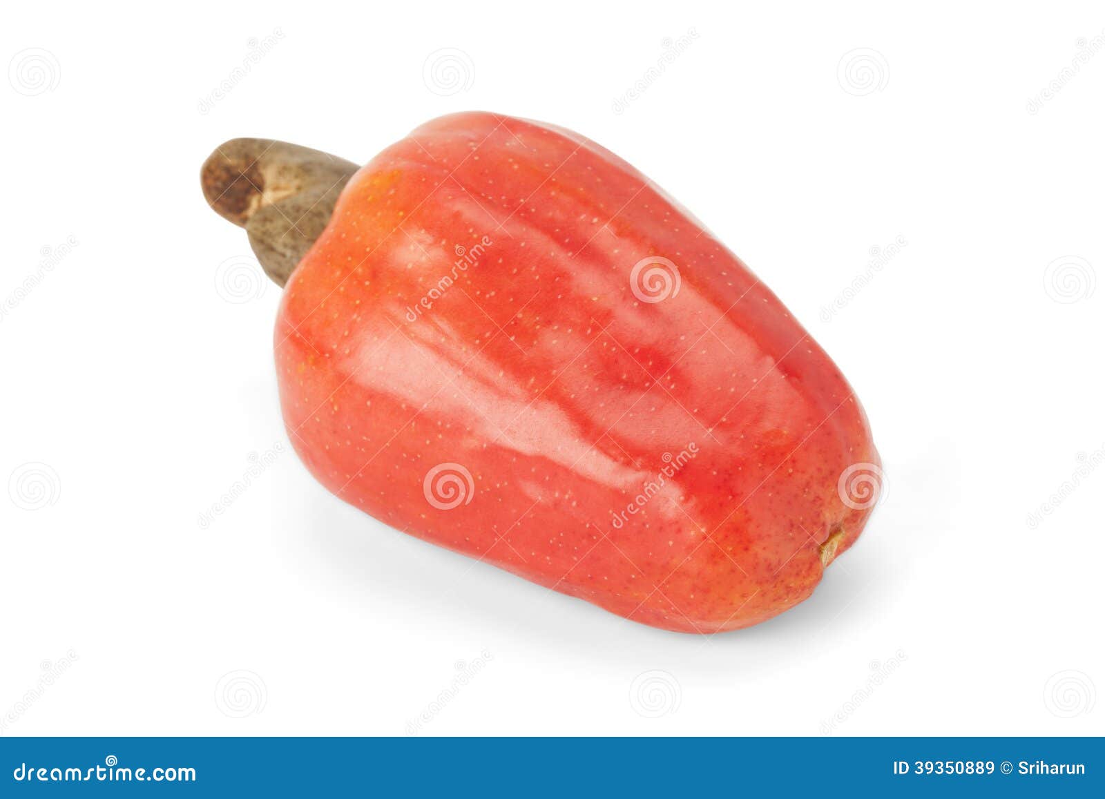 Brazilian Caju Cashew Fruit Stock Image Image of caju, harvest 39350889