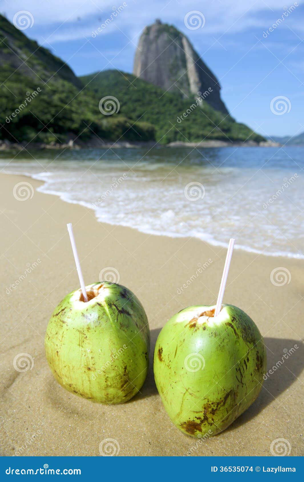 brazilian coco gelado coconuts red beach rio de janeiro