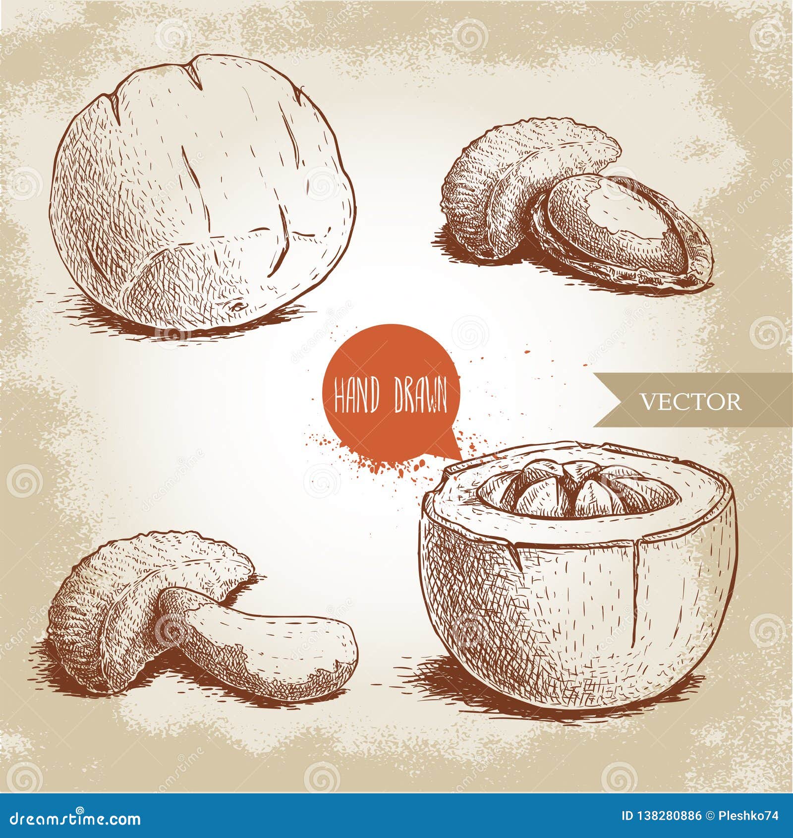 brazilian nuts sketch set. sketch artwork  s. singles and group. healthy and ecological food. vegetarian snack w