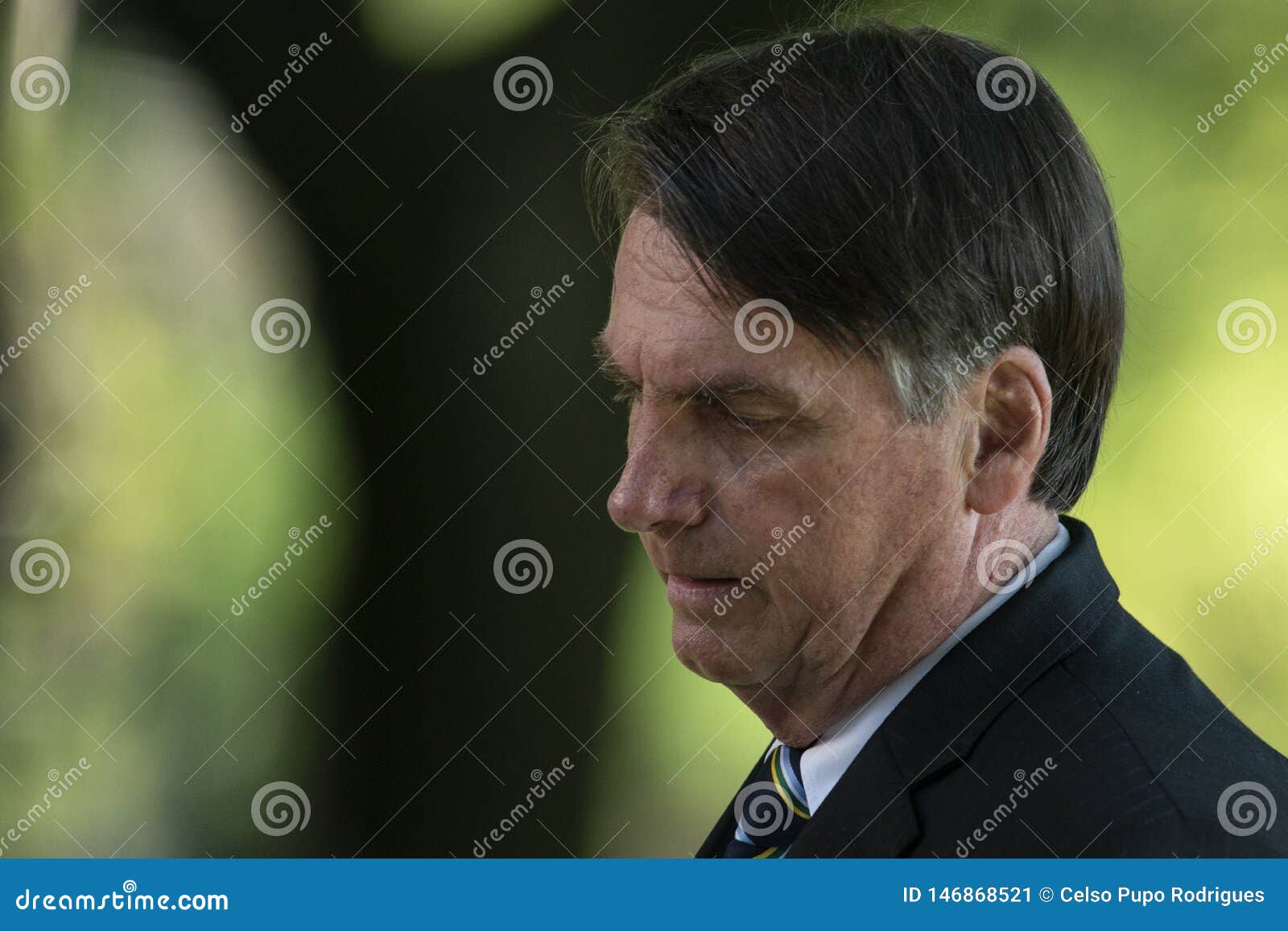 7,063 President Brazil Stock Photos - Free & Royalty-Free Stock Photos from  Dreamstime