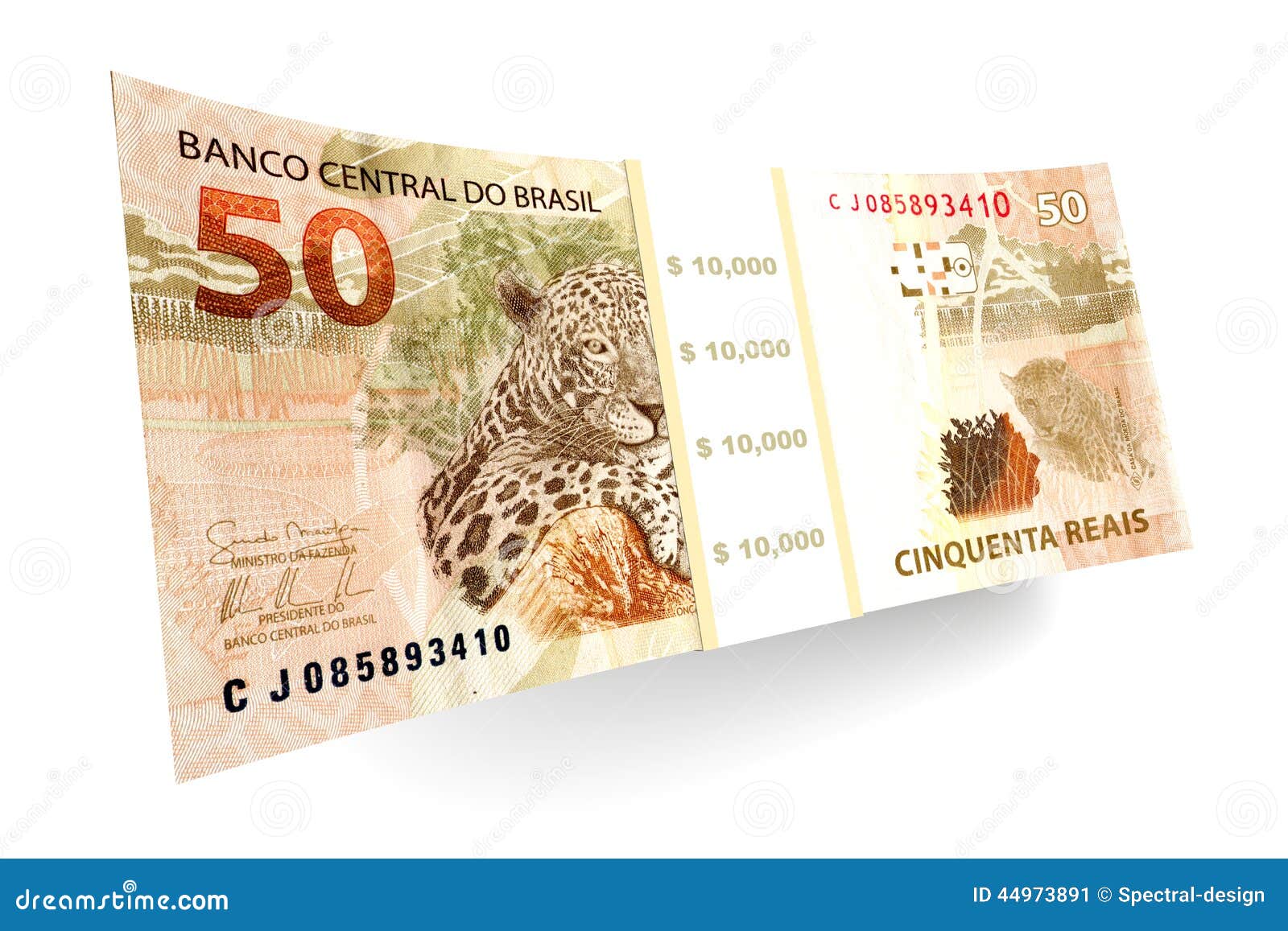 Brazilian Real Stock Illustrations – 1,101 Brazilian Real Stock  Illustrations, Vectors & Clipart - Dreamstime