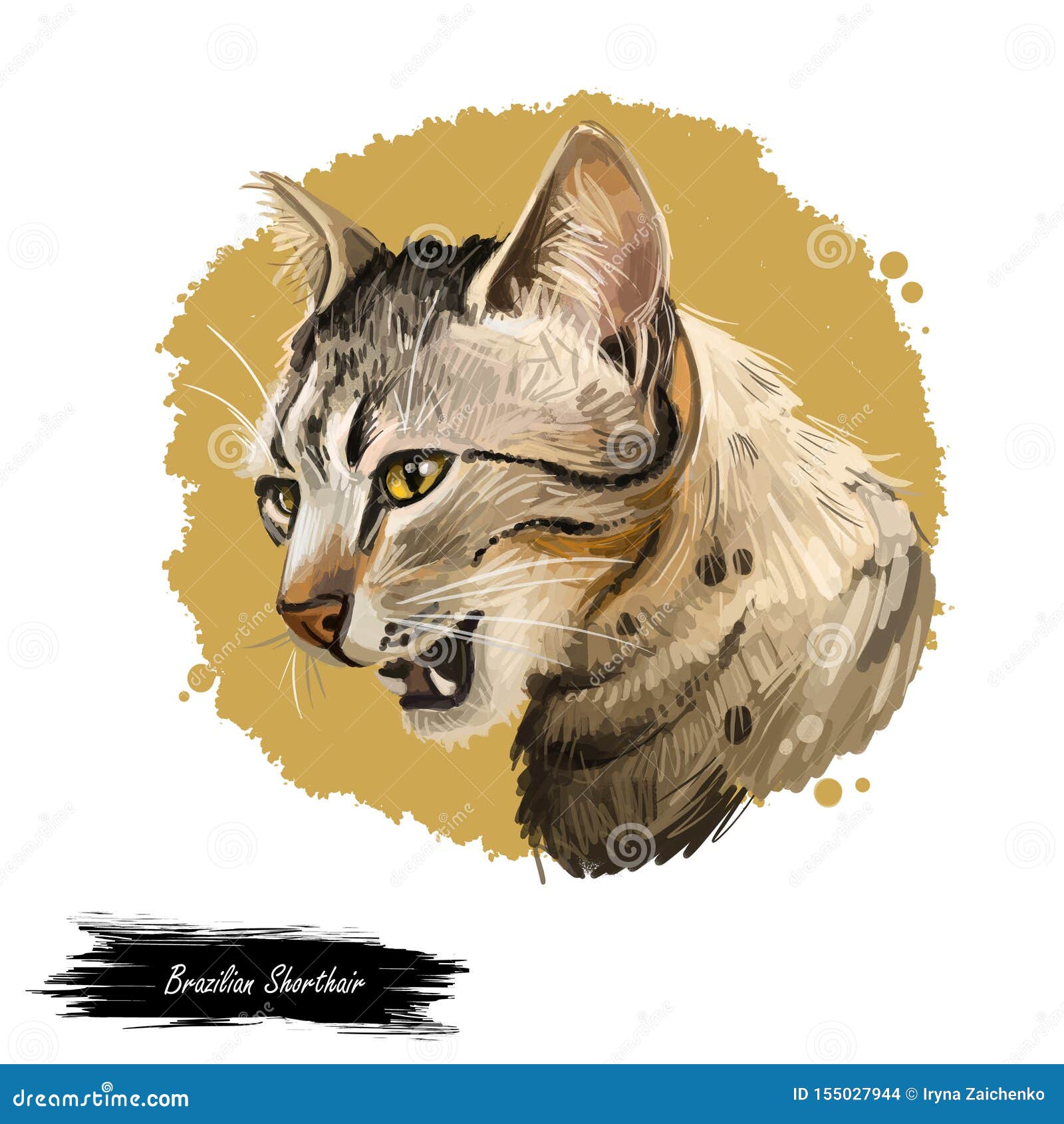 Brazilian Shorthair Cat Isolated On White Background Digital Art Illustration Of Hand Drawn Kitty For Web Kitten With Sleek And Stock Illustration Illustration Of Face Indoor 155027944