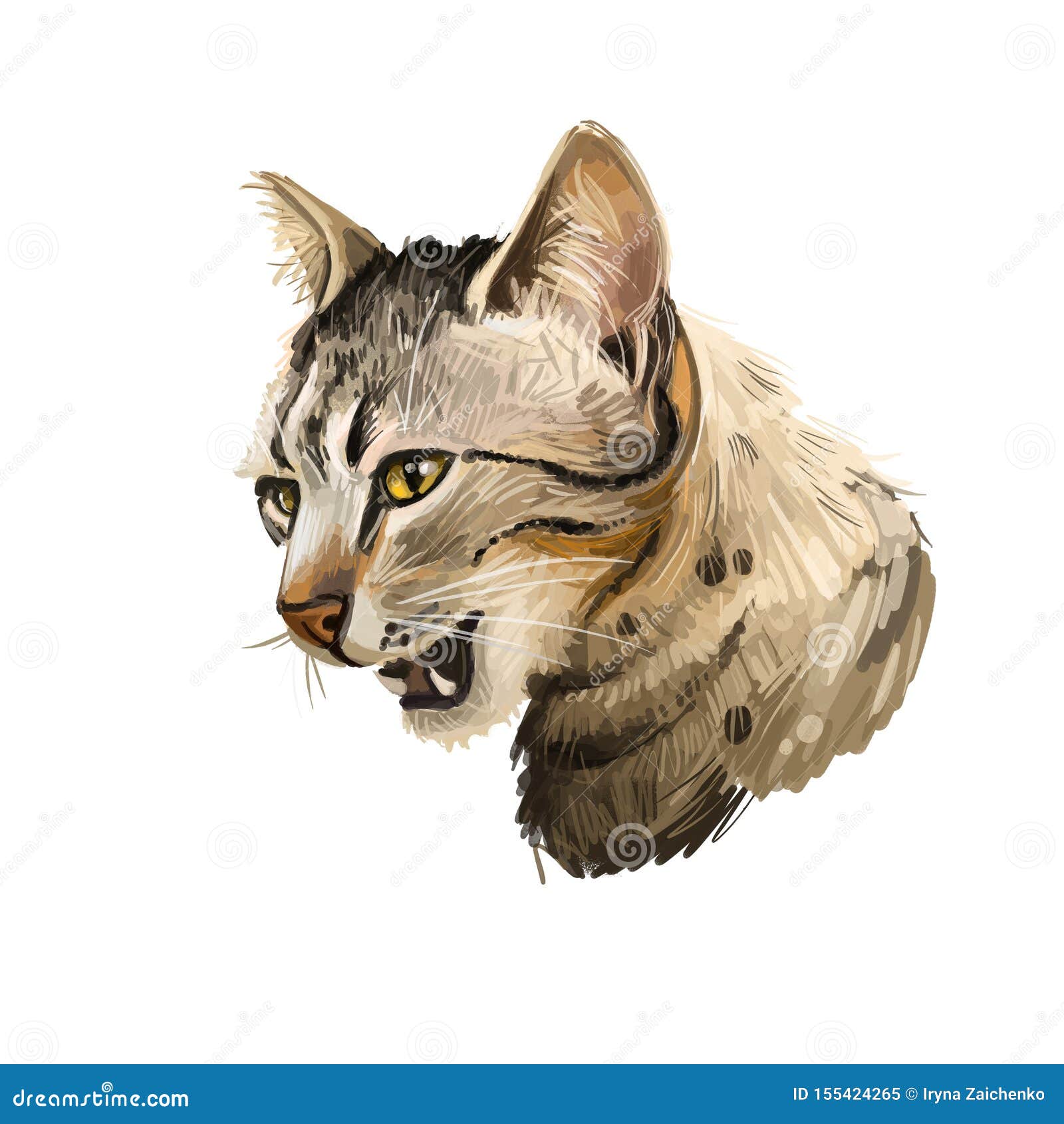 Brazilian Shorthair Cat Isolated On White Background Digital Art Illustration Of Hand Drawn Kitty For Web Kitten With Stock Illustration Illustration Of Mustache Drawing 155424265