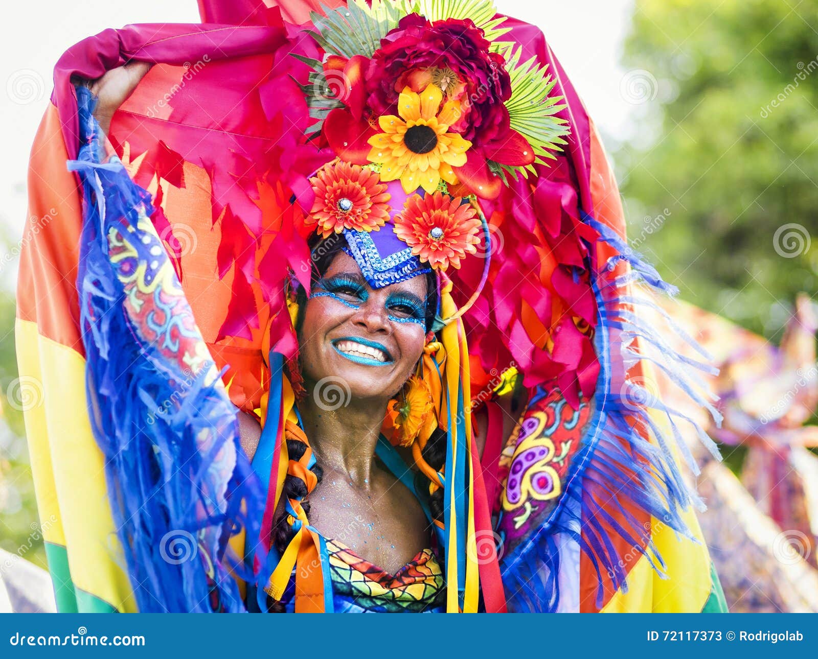 Brazilian Woman in Rio Carnaval, Rio De Janeiro, Brazil Editorial Stock  Photo - Image of festive, carnival: 72117373