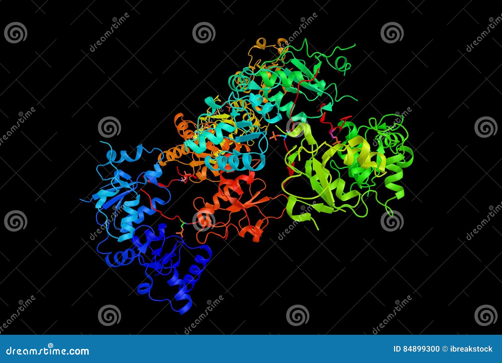 BRCA1 (3d Structure), a Human Tumor Suppressor Gene, Found in Al