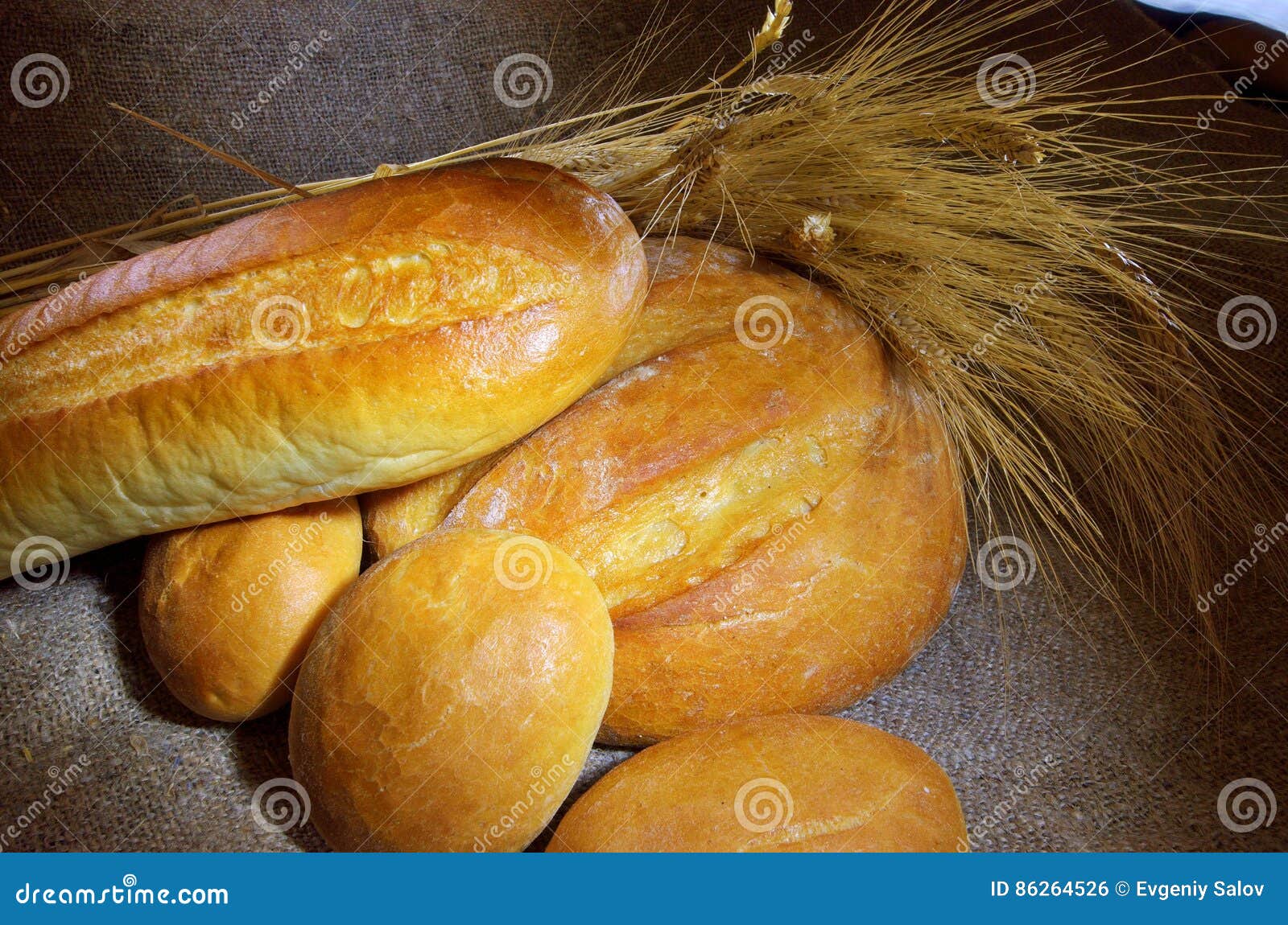 Bread. Bakery. Bakery Plant. Production of Bread Stock Photo Image of