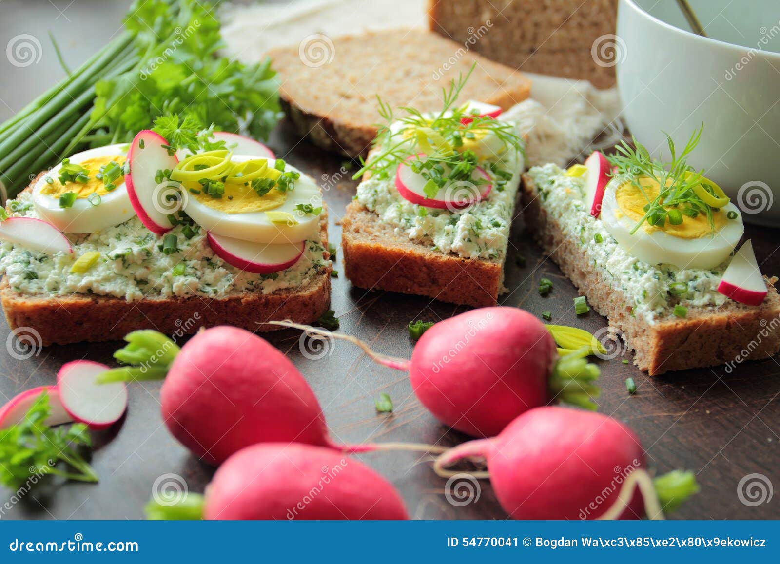 Bread with Cottage Cheese, Boiled Eggs and Radish Stock Image Image