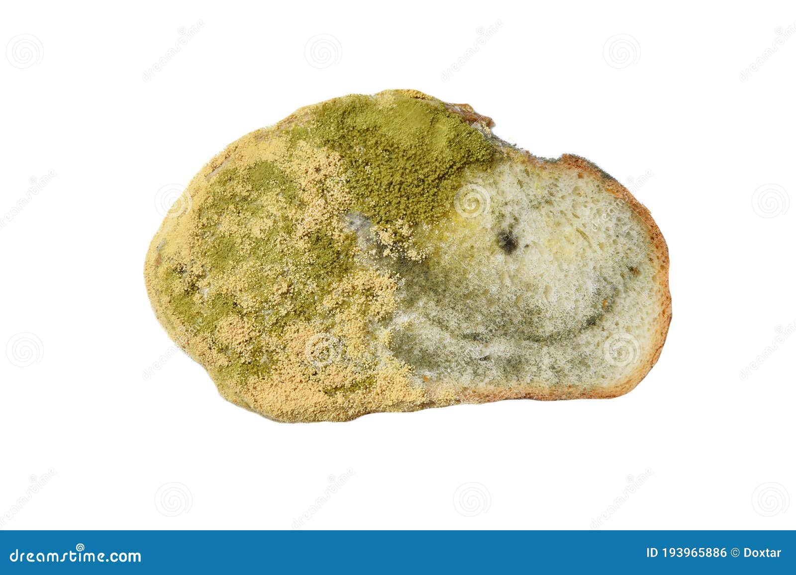 Bread Covered with Fungus Mold on White Background Stock Photo Image