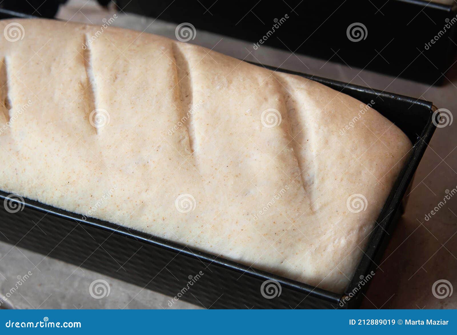Bread Dough before Baking in a Baking Pan Stock Image Image of yeast