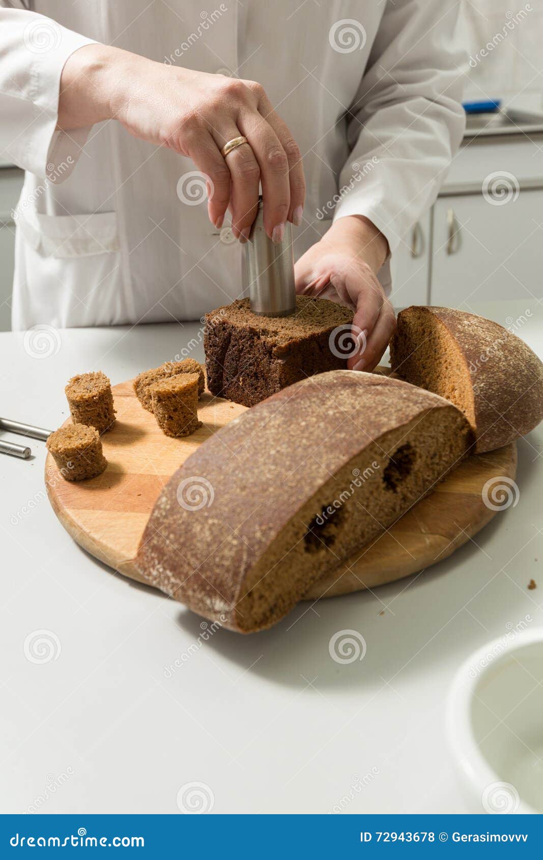 Bread Tests in a Laboratory Stock Photo Image of scientist, college