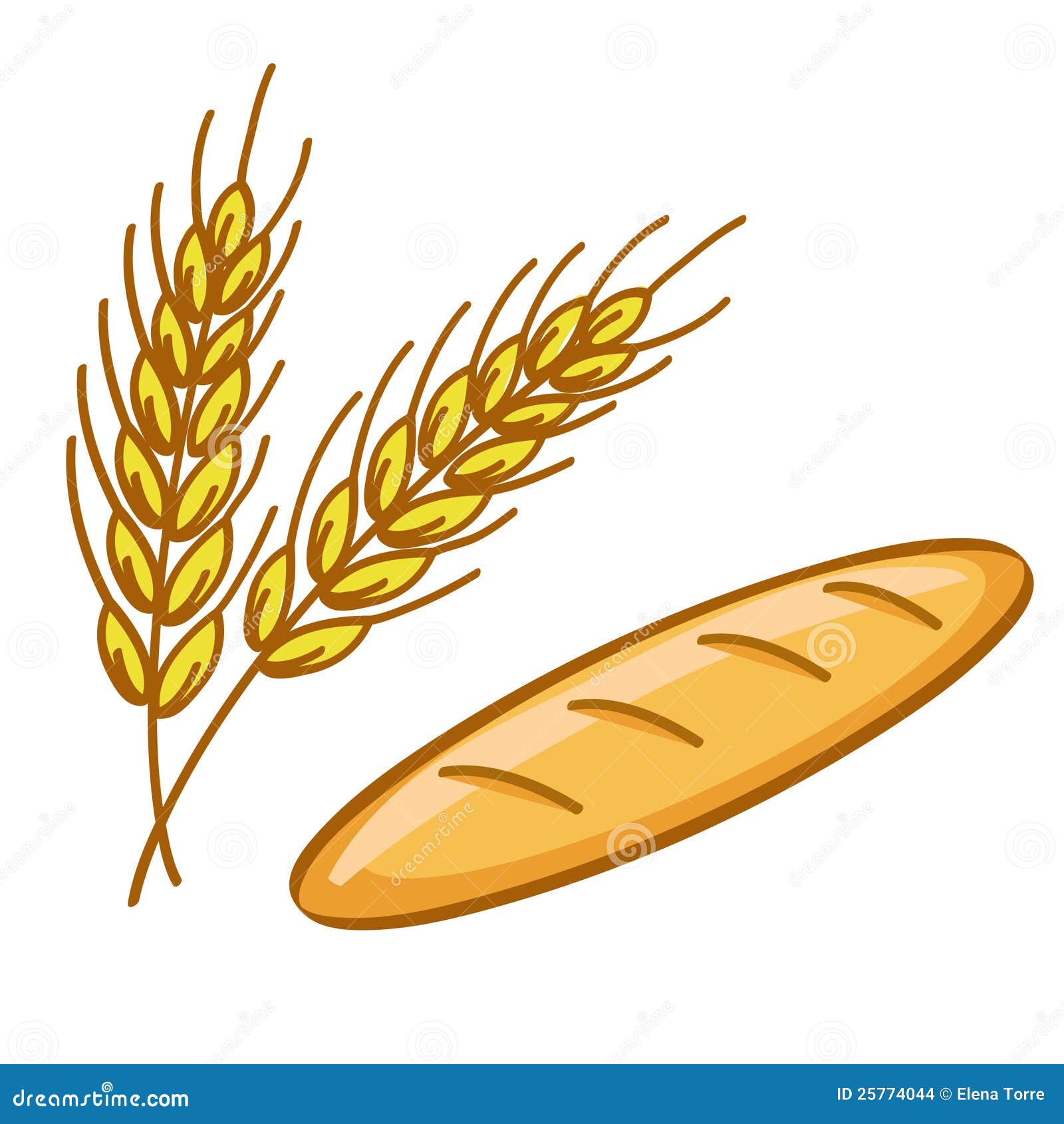 bread and wheat