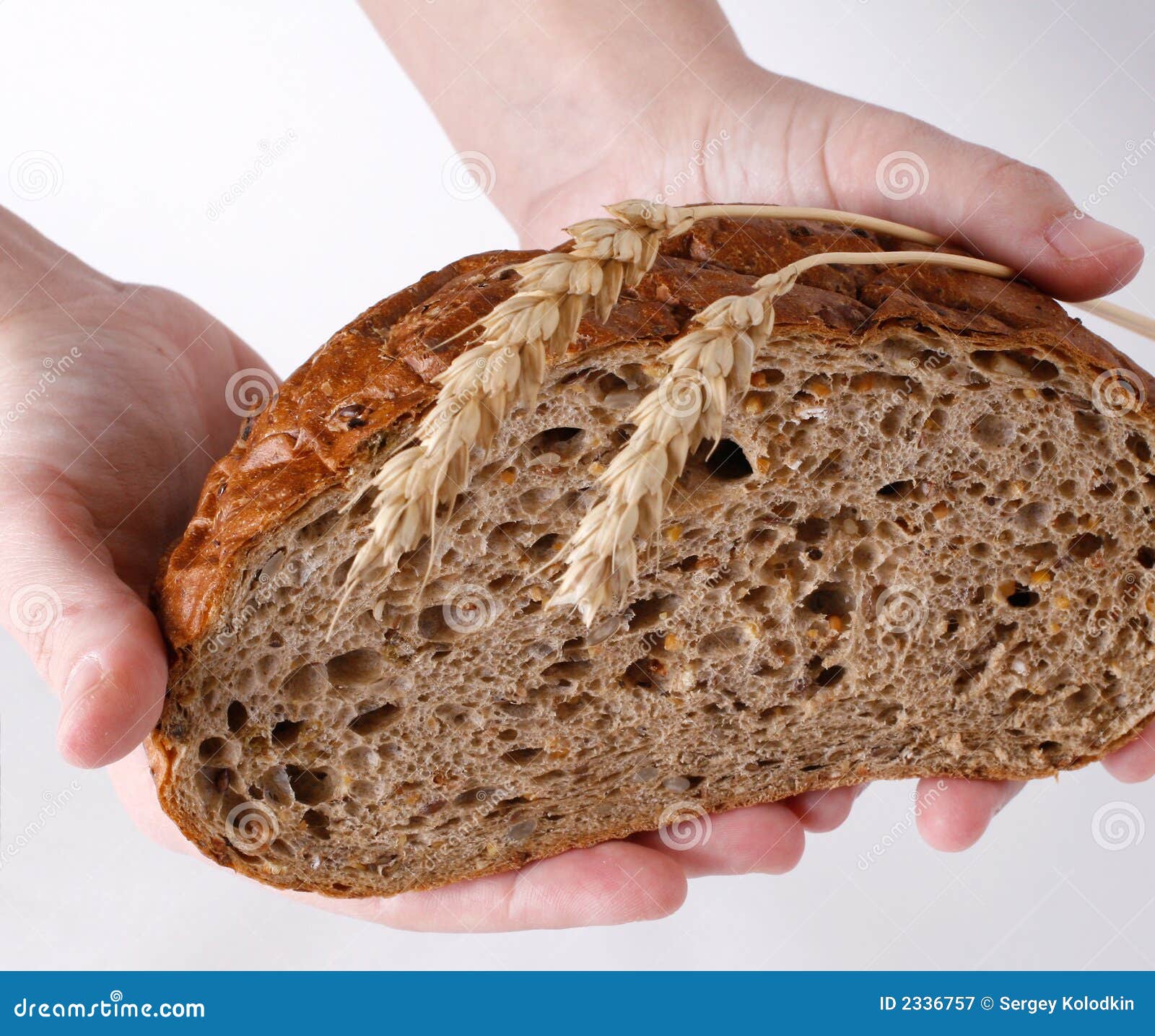 Bread, Wheatears and Hands Stock Image Image of bake, healthful 2336757