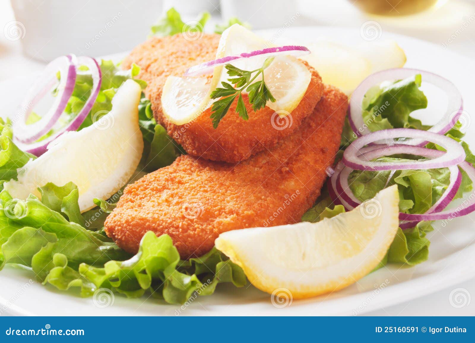 Breaded fish and lettuce stock image. Image of salad 25160591