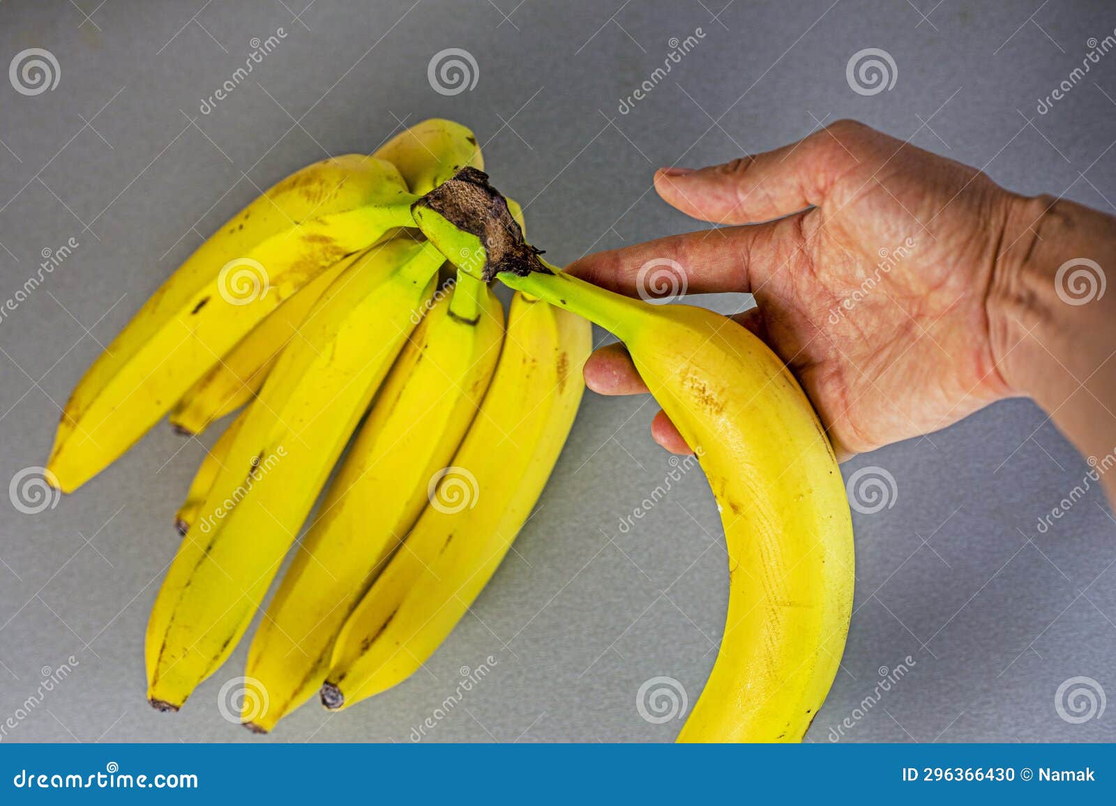 Breaking Off One Banana from a Bunch of Bananas Lying Stock Photo