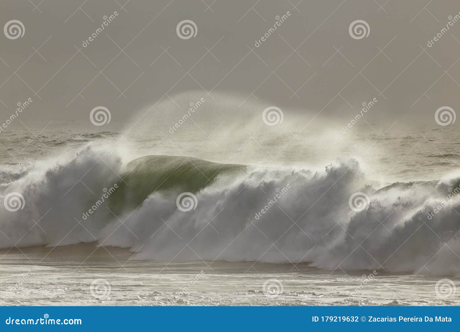 Breaking Wave with Wind Spray Stock Photo Image of landscape, ecology