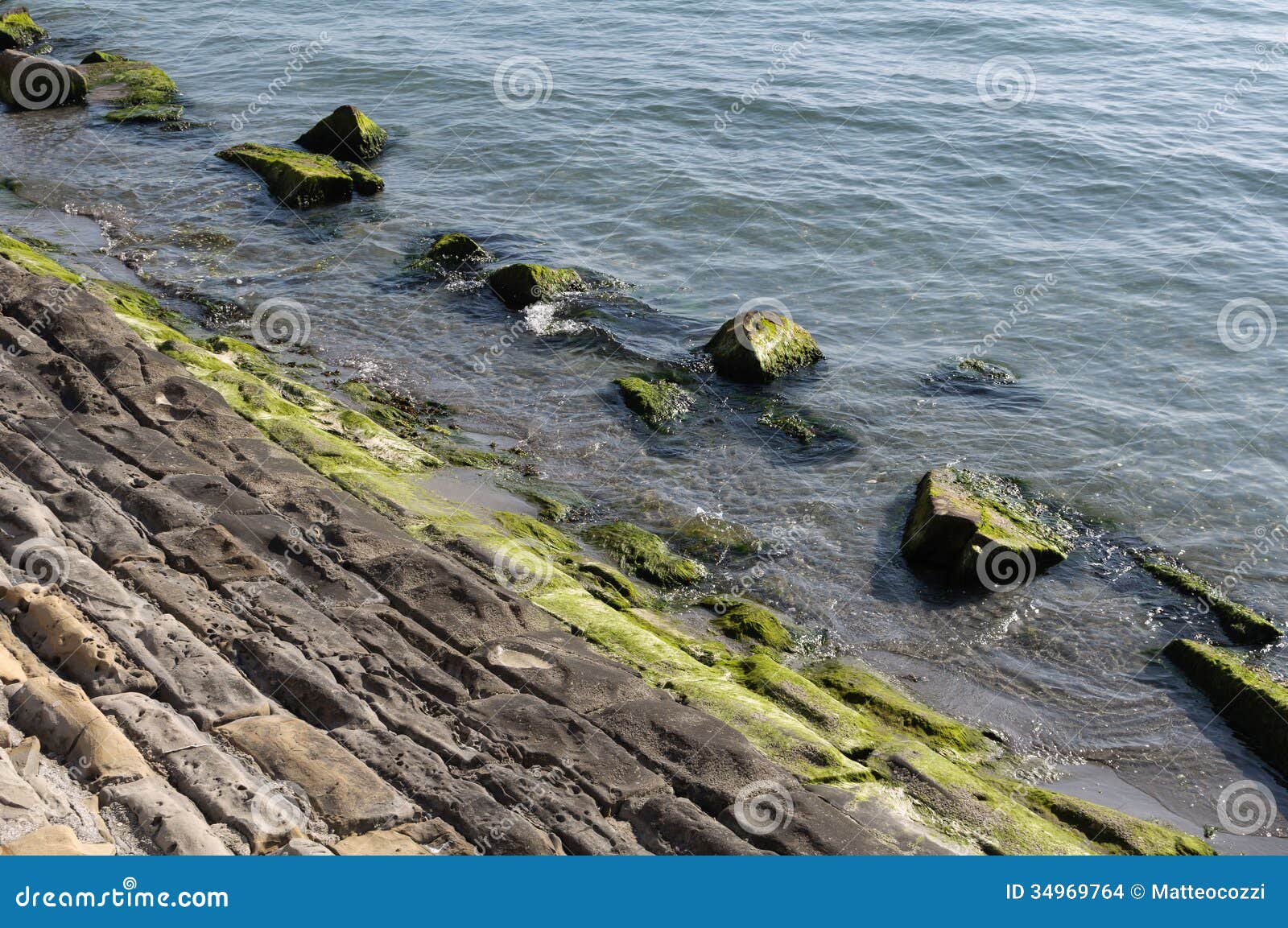 Breakwater Rocks Covered with Green Seaweed Stock Photo Image of