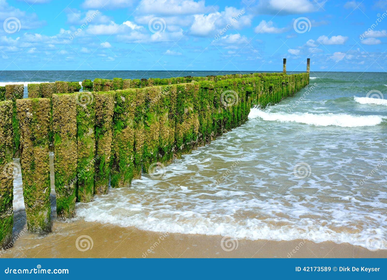 breakwaters of the palm beaches