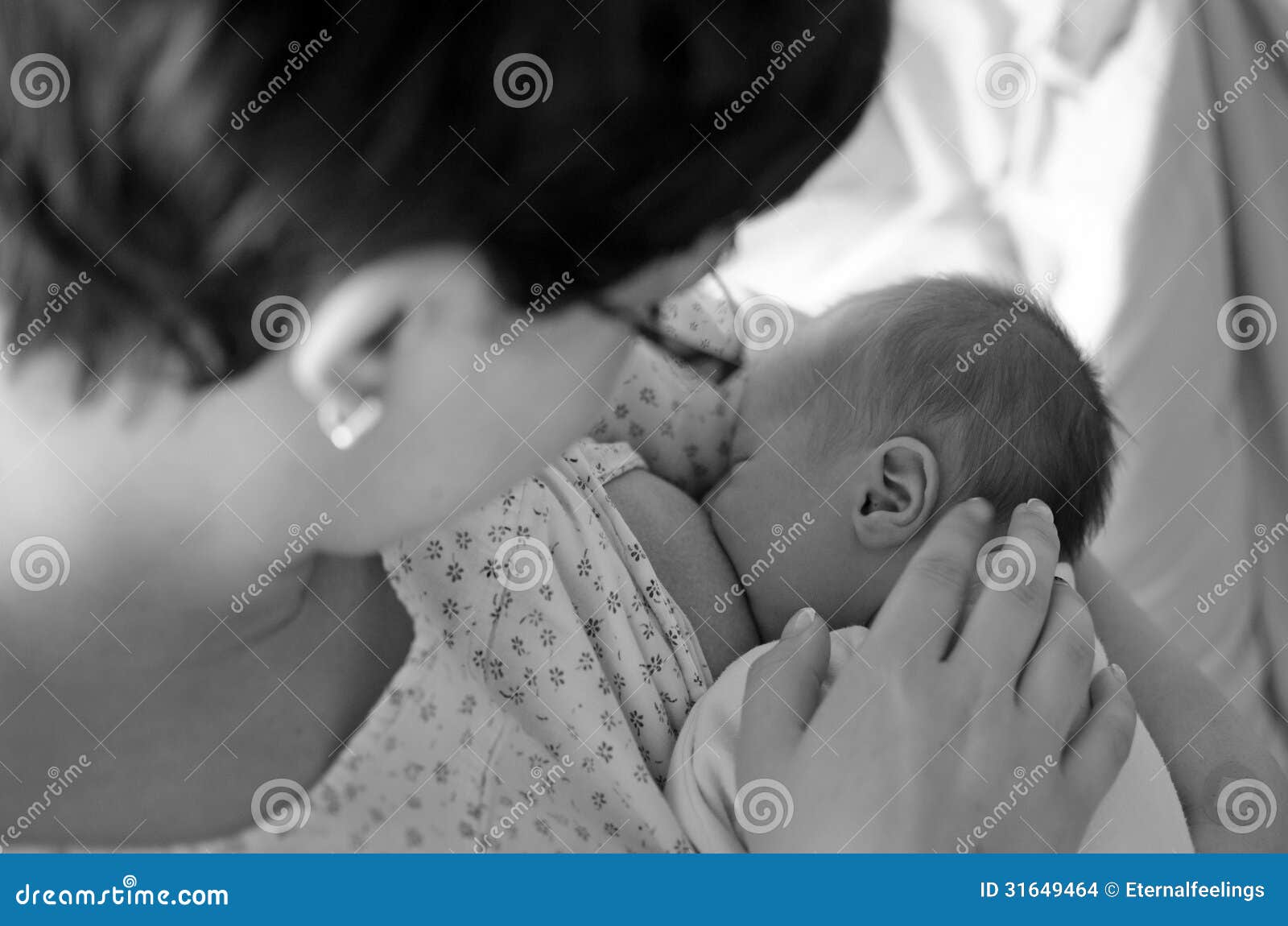 Breast feeding stock photo. Image of months, innocence 31649464