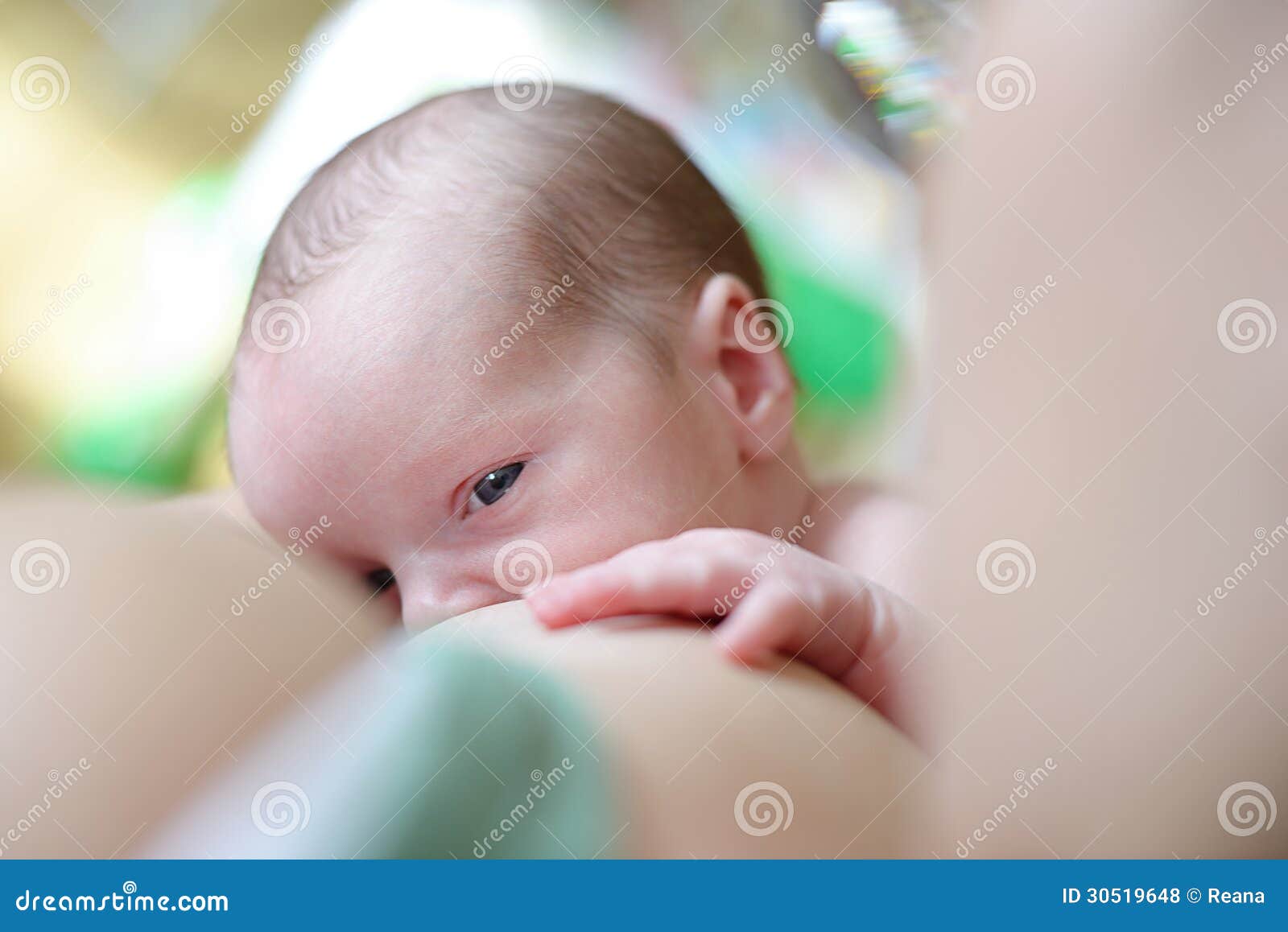 Breastfeeding of the Newborn Stock Photo Image of life, infant 30519648