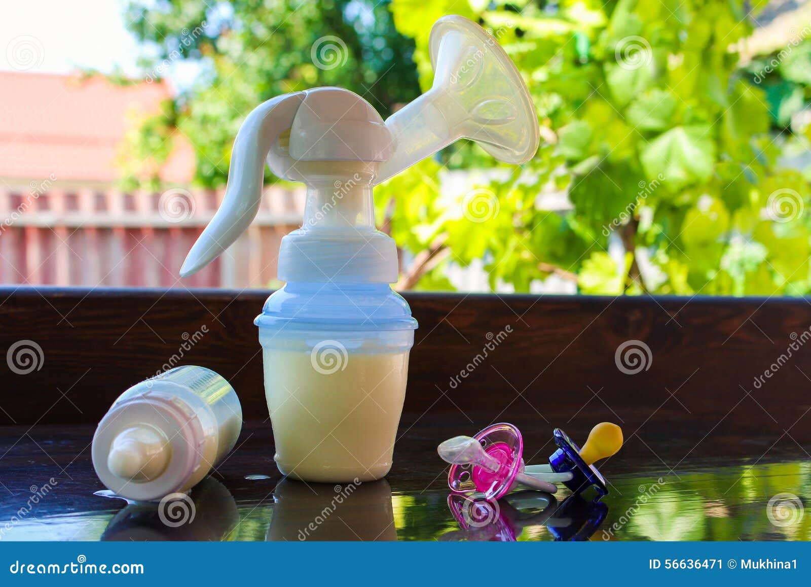Breast Pump, Bottle of Milk and Pacifiers Stock Image Image of bottle