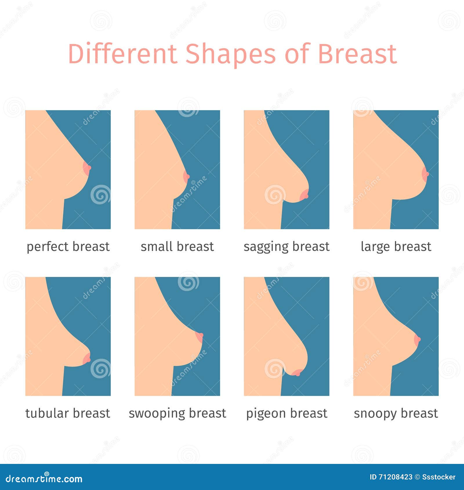 Breast Shapes Vector Illustration Stock Vector - Illustration of  contemporary, blue: 71208423