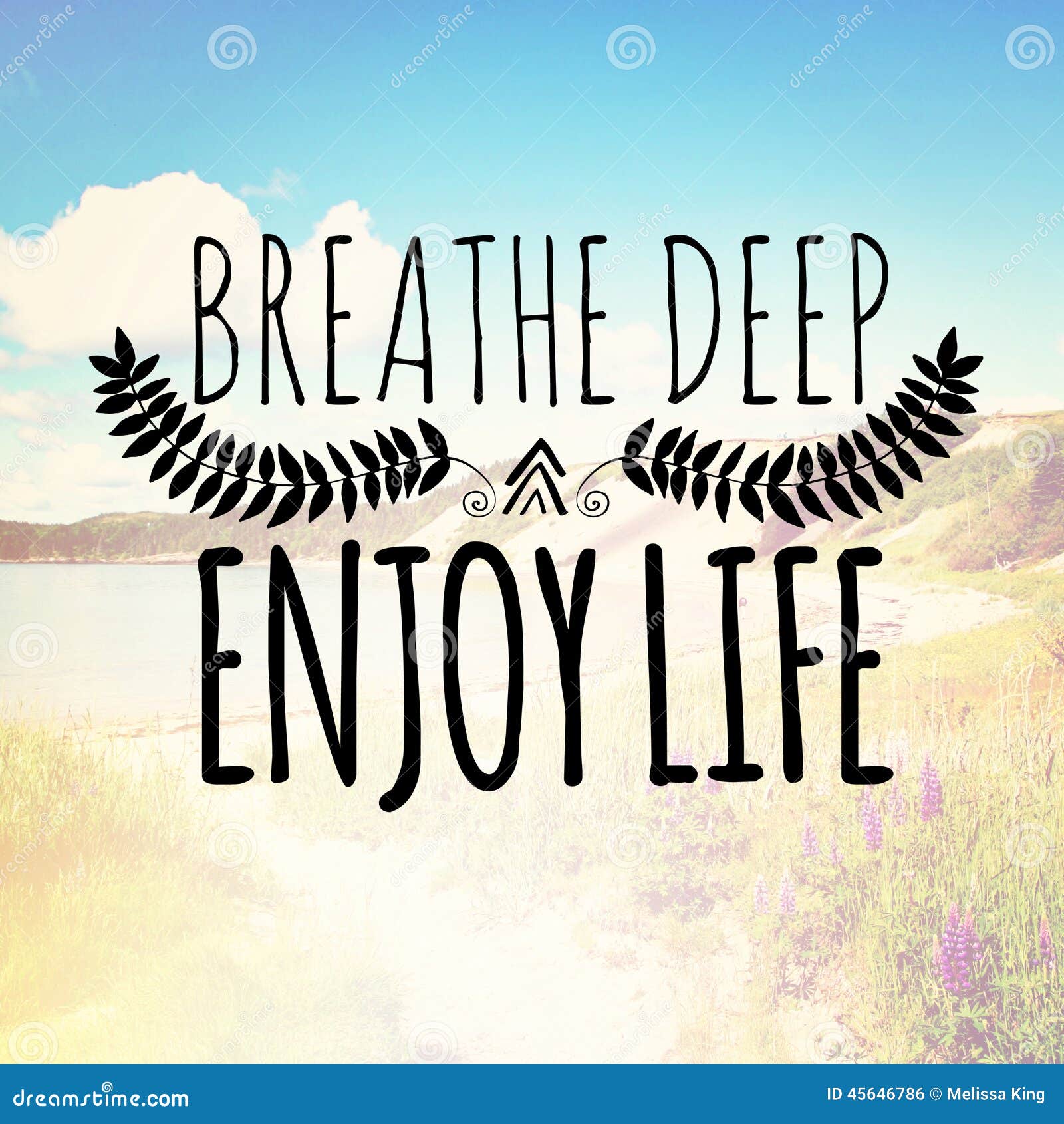 breathe deep enjoy life