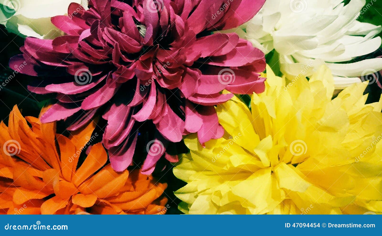 Breathtaking Flowers, Colourfull Stock Photo Image of flowers, cmara