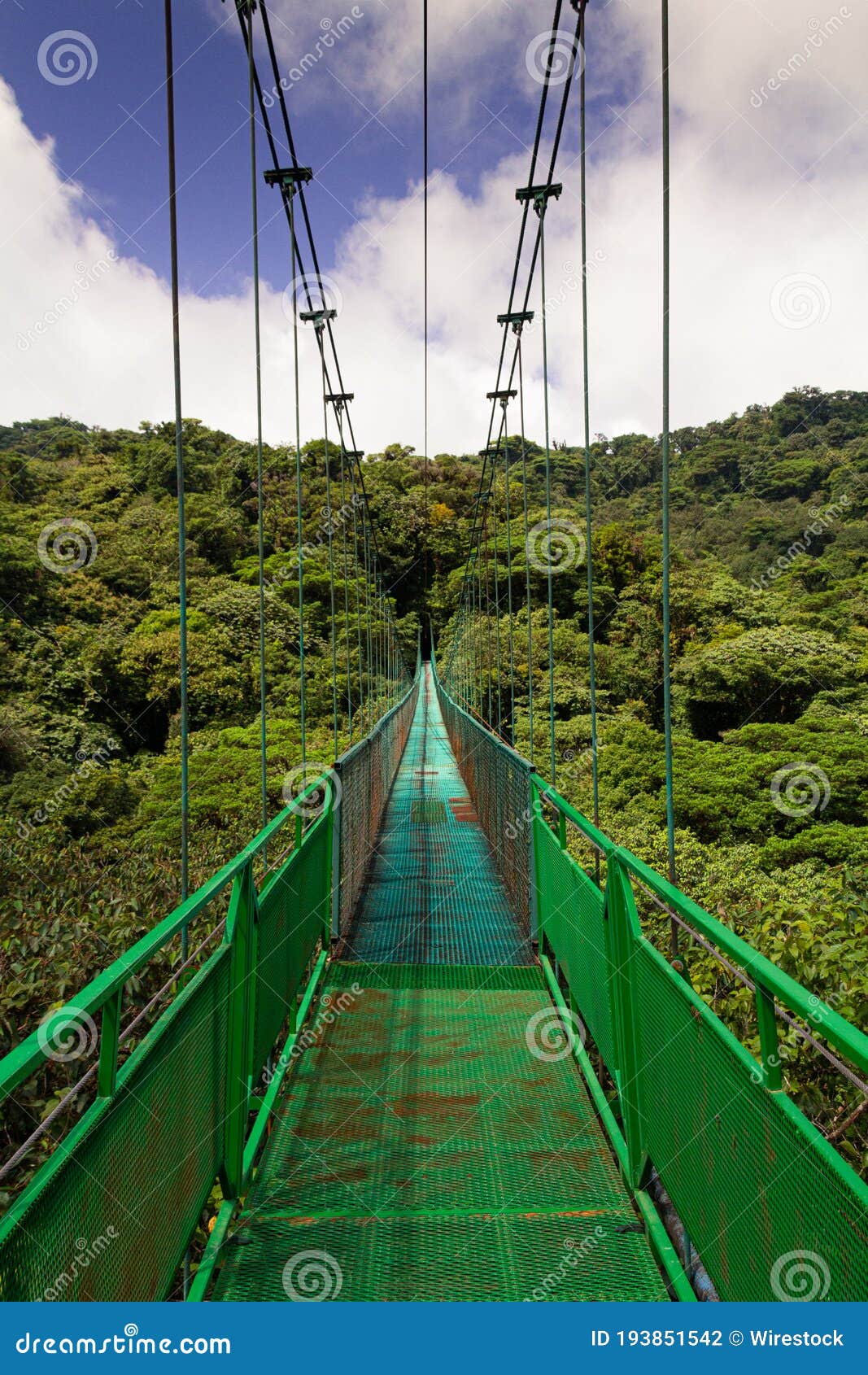Breathtaking View Of Hanging Bridge In Monteverde Cloud Forest Costa Rica Stock Photo Image Of Hill Monteverde 193851542